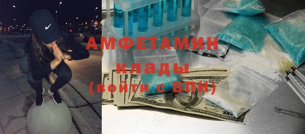 хмурый Алексин