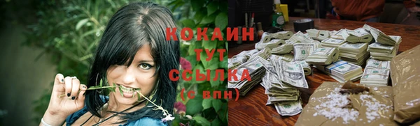 круглые Алексеевка
