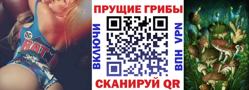 Псилоцибиновые грибы GOLDEN TEACHER  blacksprut зеркало  Губкин  продажа наркотиков 